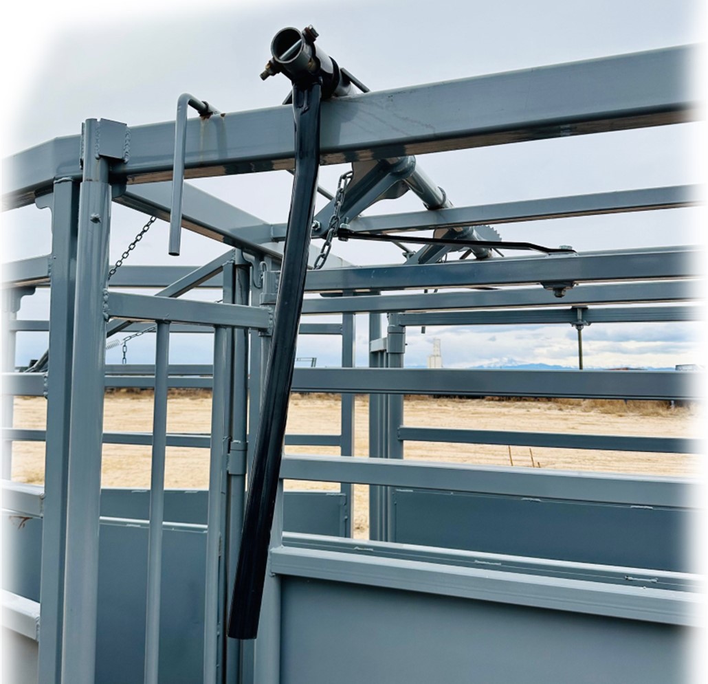 RR 19' Twin Alley for Cattle
